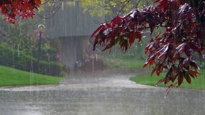 rainfall