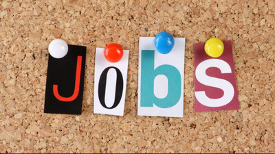 OSSSC announces fresh Group C vacancies: Apply for over 400 Radiographer posts, check details 