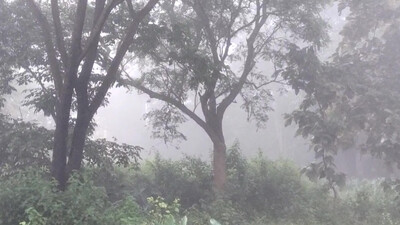 IMD issues yellow warning for heavy rainfall, dense fog