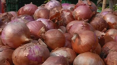 Onion price brings tears to consumers’ eyes in Odisha
