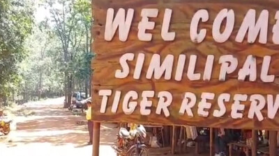 Similipal Tiger Reserve