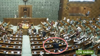 Parliament security breach