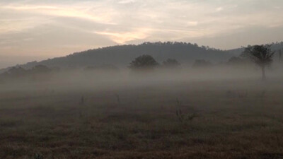 Odisha shivers under cold wave, 8 cities record temperature below 10 degree Celsius
