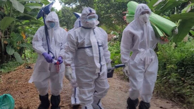 Bird flu scare: Over 20,000 chickens to be culled in Odisha’s Pipili 