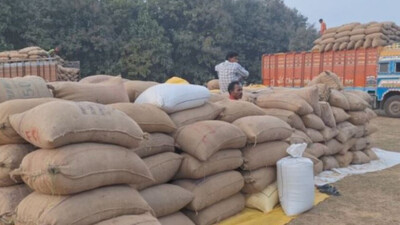 Paddy procurement in Odisha