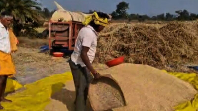 Paddy procurement 