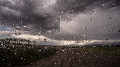 Rainfall 