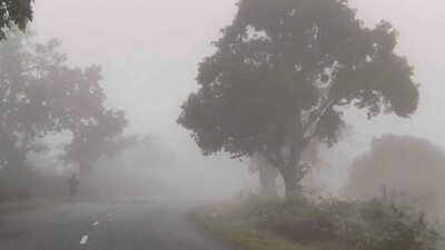 Intense cold to further intensify in Odisha, sharp dip in mercury in next two days: IMD