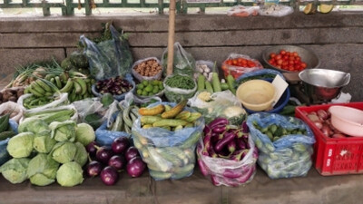 Retail inflation eases to over 6-yr low of 2.1 pc in June on subdued food prices