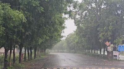 Heavy rain likely to lash Odisha till Aug 24, yellow warning issued for several districts