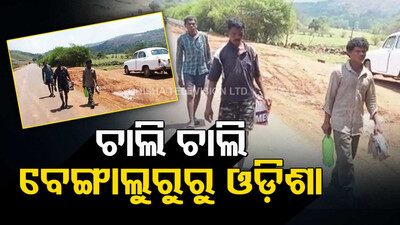 3 Odisha migrant workers walk 1100 km to reach home from Bengaluru 
