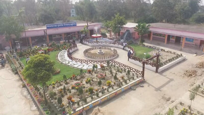 school