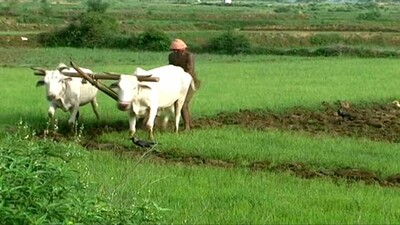 Farm land