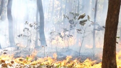 similipal-fire