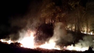 similipal-forest-fire