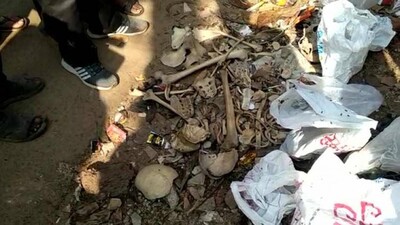 skeleton-found-in-Bhubanesw