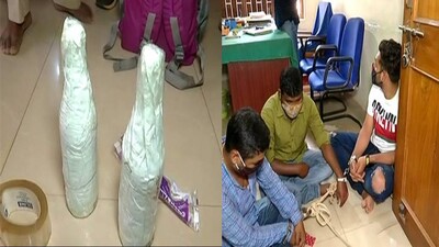 snake-venom-racket