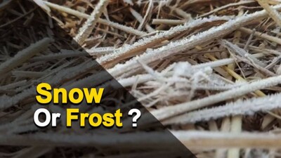 Winter In Daringibadi: It’s Frost Not Snow | OTV News