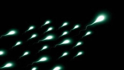 sperm-in-space