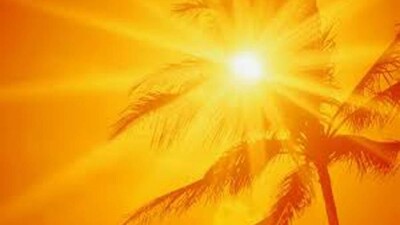 summer