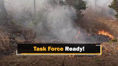 Odisha Constitutes Task Force To Battle Raging Forest Fires Odisha Constitutes Task Force To Battle Raging Forest Fires
