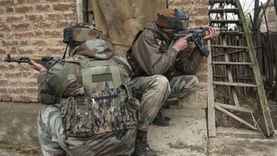 terrorist-killed
