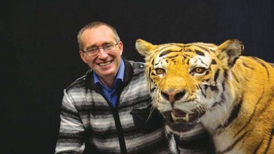 tigers