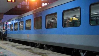lizard in railway food, senior citizen caught