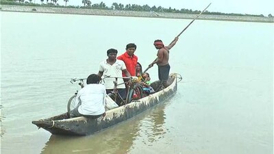 Sisua bridge demand