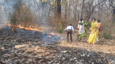 Similipal fire: Centre rushes 3-member expert team to help Odisha govt