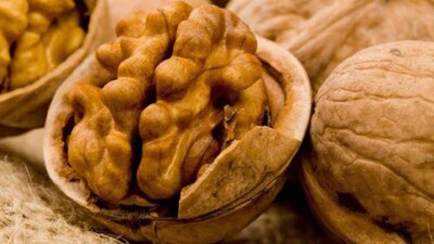 walnut