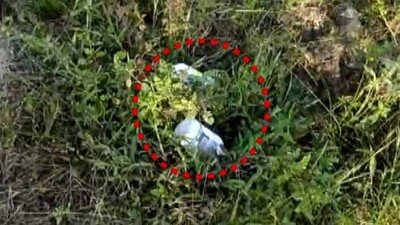 weedicide