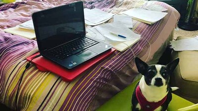 wfh