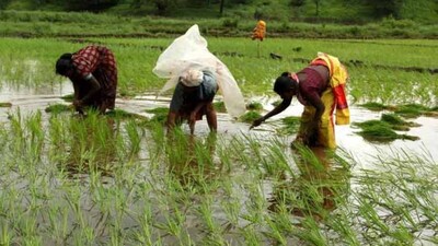 women-agricultural-labour