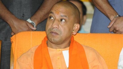 yogi