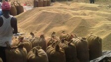 Paddy traded below MSP at market Yards in Odisha's Kendrapada: APMC report