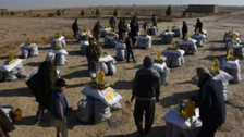 Afghans 