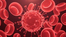 Blood-COVID-19