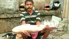 Chadakhai
