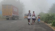 Cold Wave Conditions
