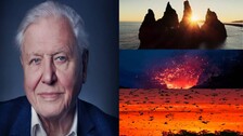 David-Attenborough