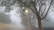 Dense Fog