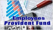Govt ratifies 8.1 pc EPF interest rate for 2021-22