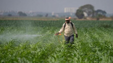 Odisha govt allows self-declaration for farmer registration for KMS 2025-26