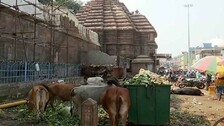 Garbage-heaps in- Puri
