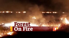 forest fire