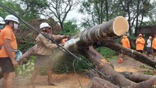 Cyclone Yaas: Updates From Affected Regions In Odisha