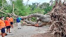 Cyclone Yaas: Roadways, Water Supply Restoration In Full Swing In Odisha