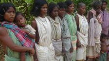 Dongria Kondh Women Bearing The Double Burden