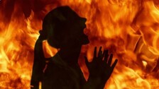 publive-image